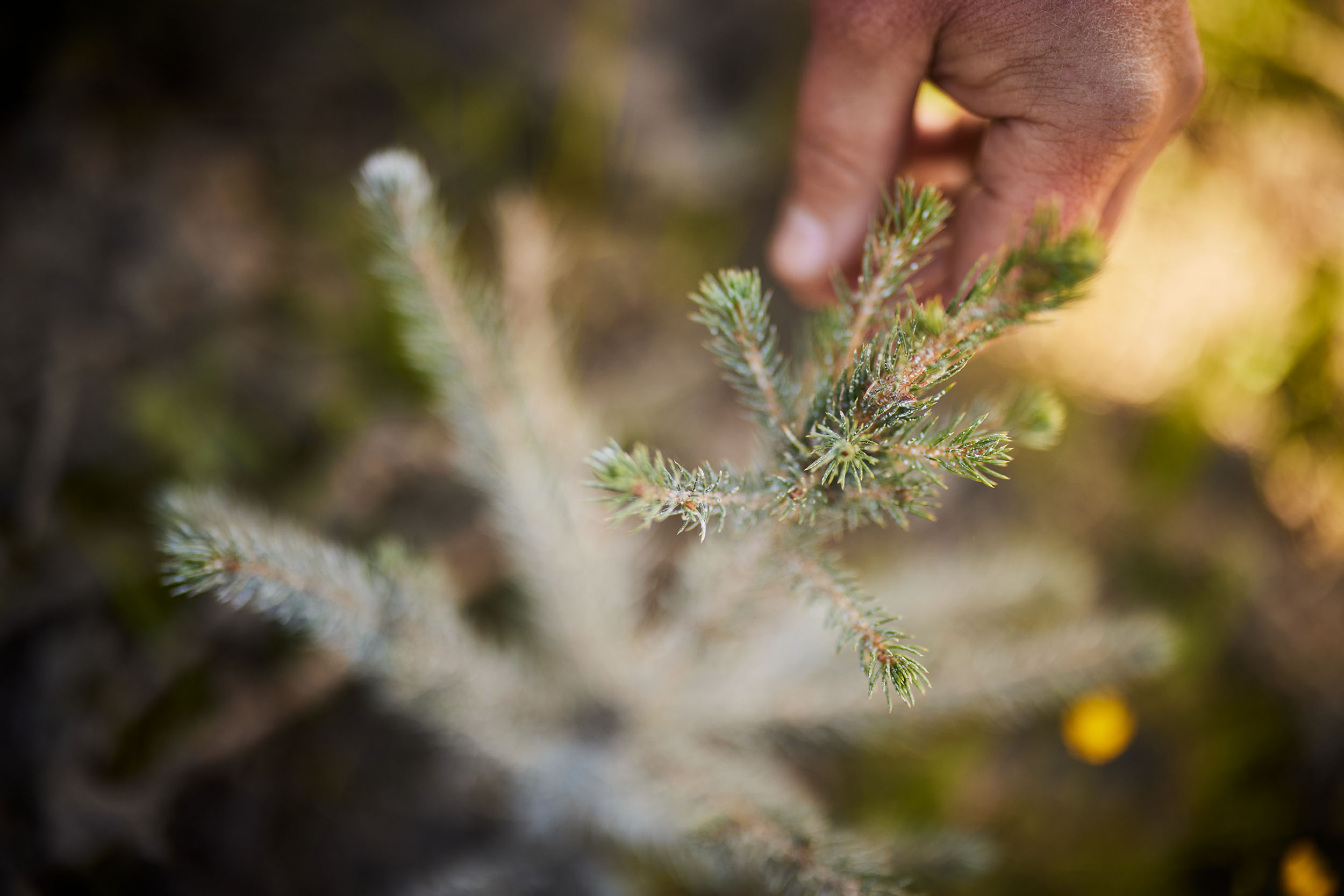 Image representing fact