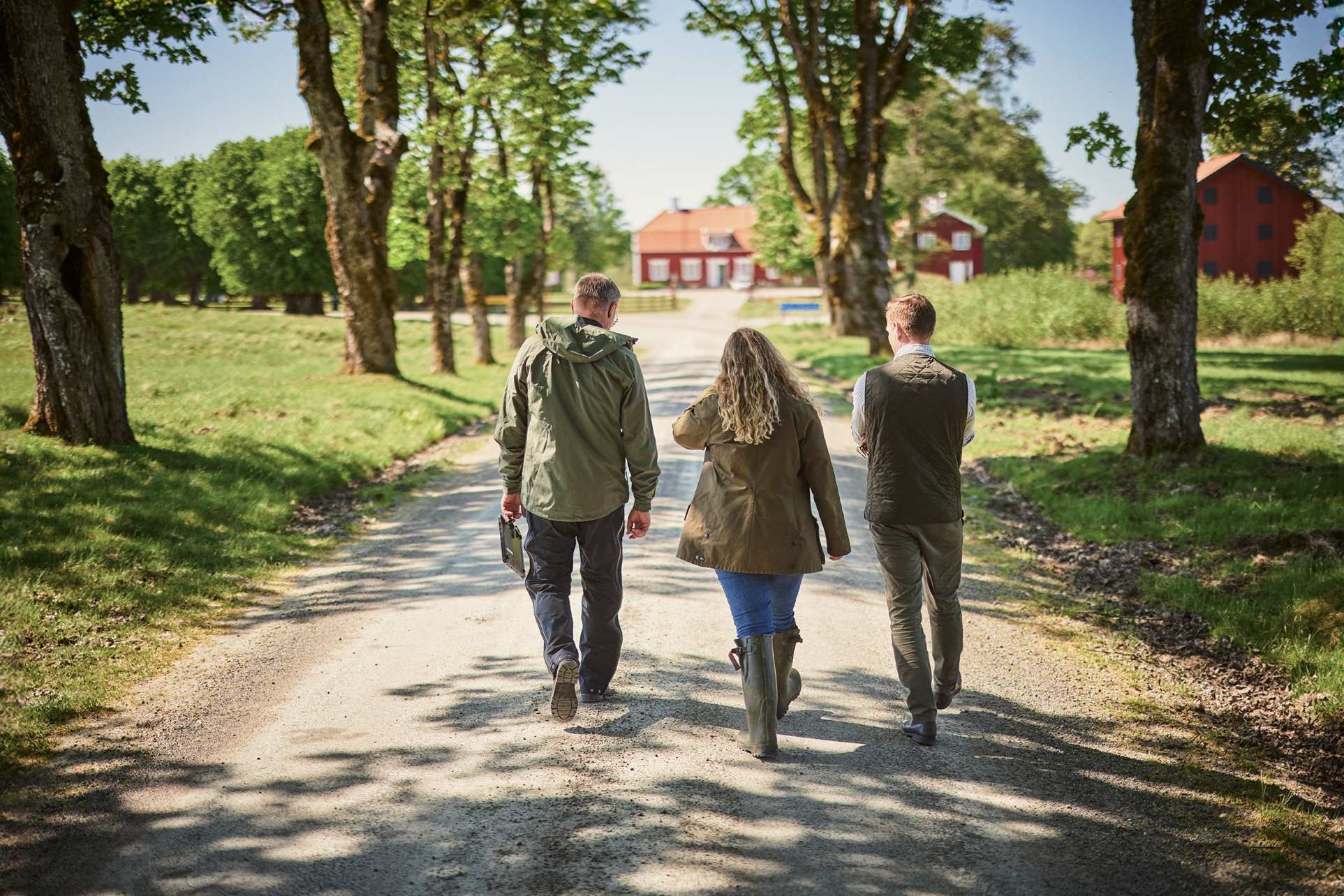 Image relating to text