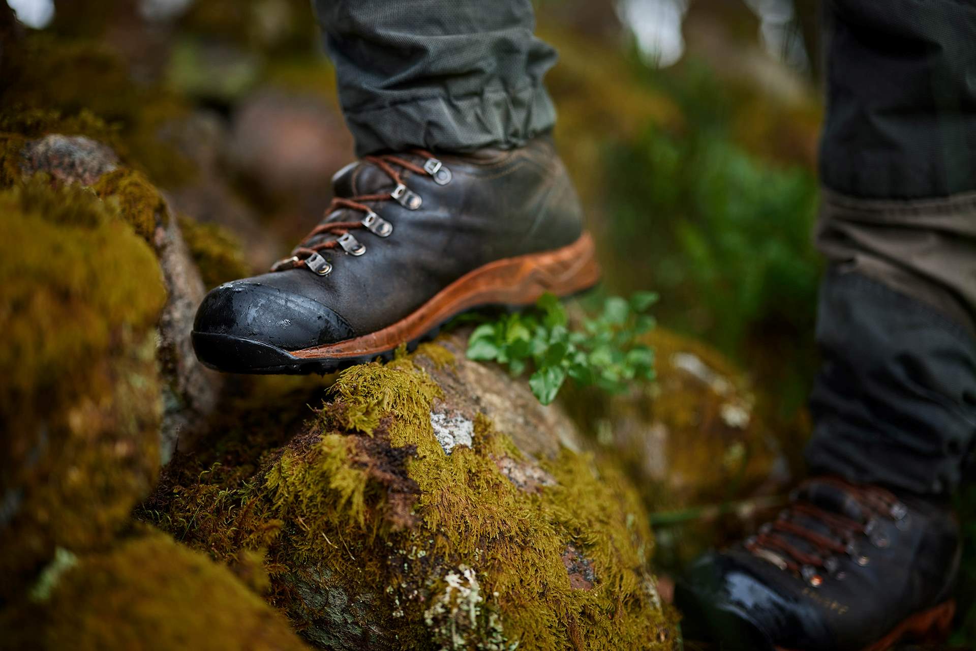 Image representing fact