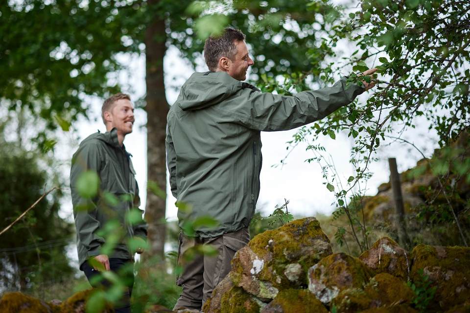 Image relating to text