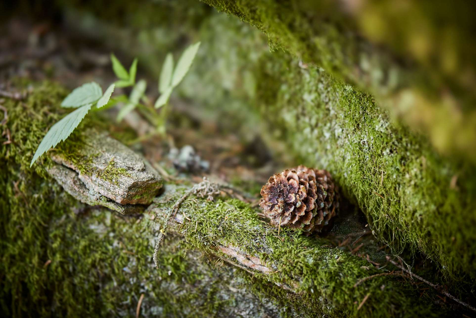 Image relating to text